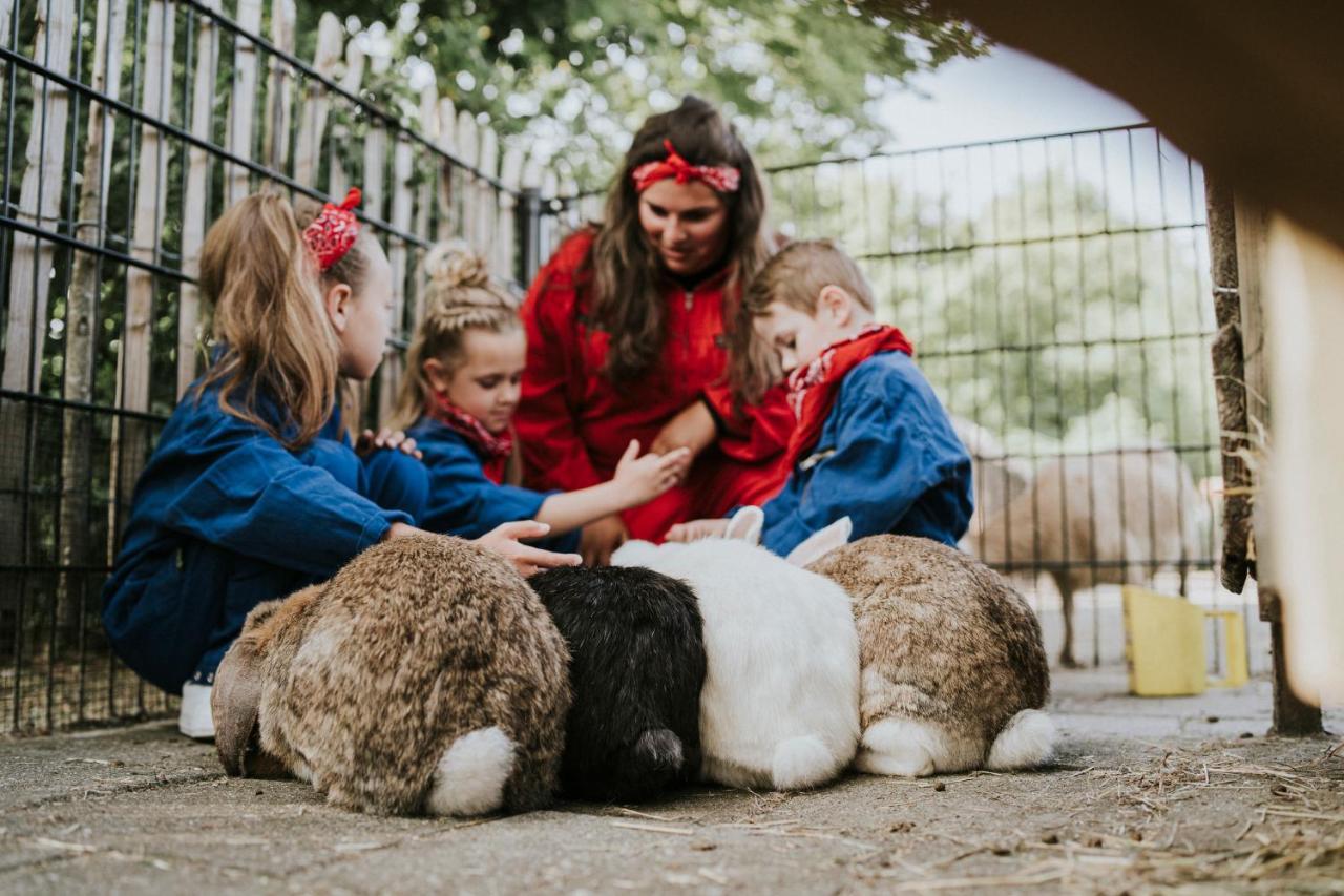Vinkel Vakantiepark Dierenbos מראה חיצוני תמונה